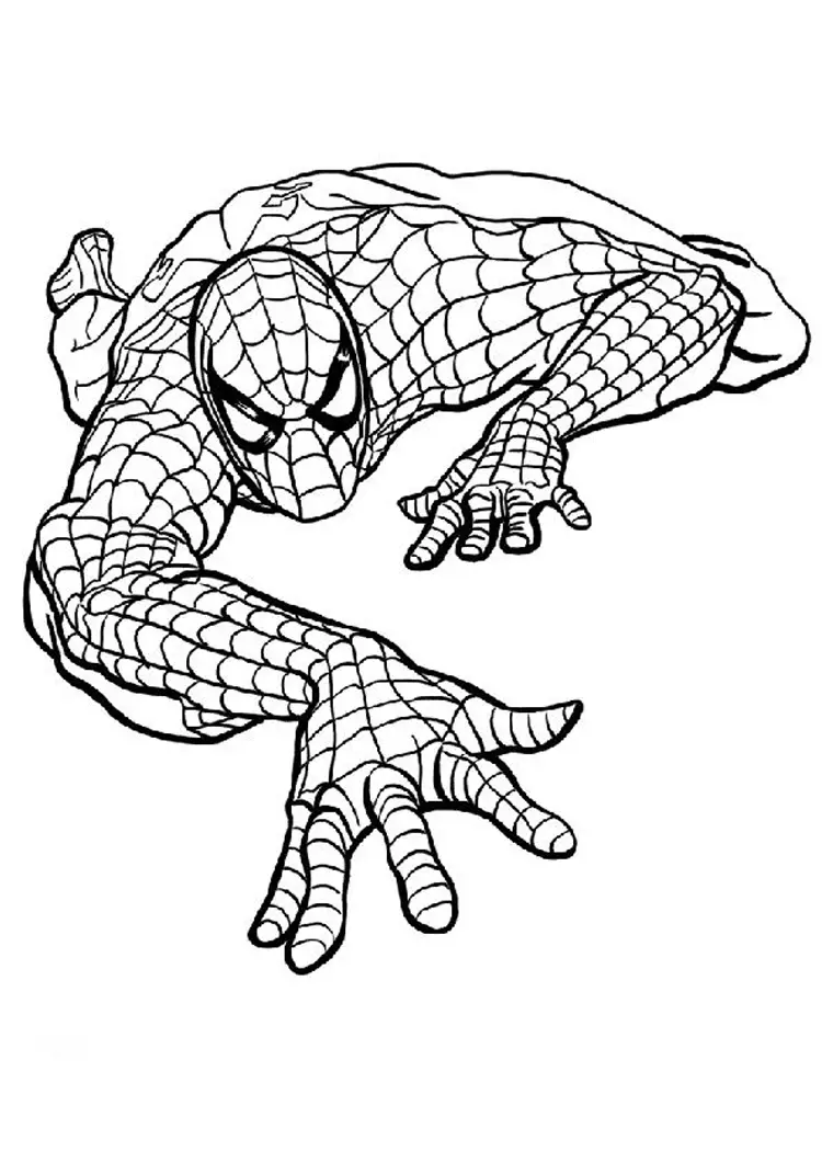 Coloring Spiderman Pages 1